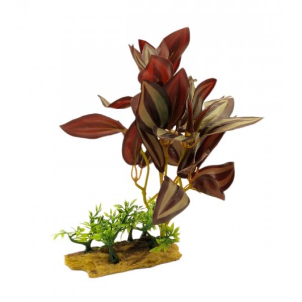 ΔΙΑΚΟΣΜΗΤΙΚΟ ΦΥΤΟ ΕΝΥΔΡΕΙΟΥ 24Χ11CM